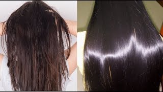 DIY  Get Silky Shiny Hair in 1 DAY   PROTEIN Hair Mask for DRY FRIZZY Hair Care [upl. by Worthington]