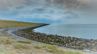 Natuurfilm  Documentaire Afsluitdijk [upl. by Malinde56]