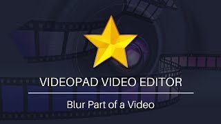 How to Blur Part of a Video  VideoPad Video Editing Tutorial [upl. by Nhguav]