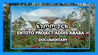 Ethiopia  ነገን ዛሬ ማያ እንጦጦ  Entoto Park Documentary Biruh Media ብሩህ ሚዲያ [upl. by Aneleh677]