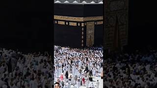 kaaba Live🔴  October 8 2024  tawafekaaba ytshorts original video kaba makkahofficial [upl. by Lada315]