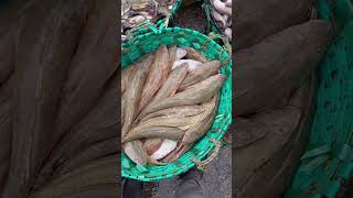 Different types of fish in Fishery Ghat viralvideo virashorts shorts youtubeshorts seafish [upl. by Seerdi502]