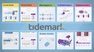 Tidemark Enterprise Analytics Apps  Overview [upl. by Bever]