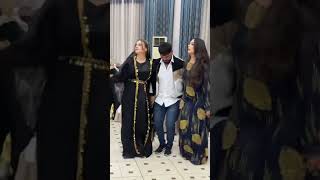 Kurdish Dance Kurdish Culture Kurdish Folklore shorts shortvideo youtubeshorts trending lore [upl. by Laerdna]