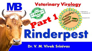 RINDERPEST  Part 1  Microbiology  Vivek Srinivas  Rinderpestfree Veterinaryscience [upl. by Beryl]