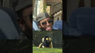 🤣😭🐵 plenty ya the Ben ihuje inkende yinzungu😅 niyirabura murukundo❤️🤣🔥funny shorts subscribe fyp [upl. by Valli]