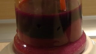 Potassium permanganate and salt [upl. by Ahscrop982]