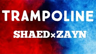 SHAED×ZAYN  Trampoline Lyrics [upl. by Ladnyk194]