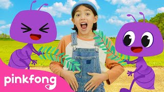 La Hormiguita  Fui al Mercado🎵 🐜  Pinkfong ¡Baila Baila  Canciones Infantiles [upl. by Oidale]