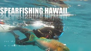 Spearfishing Hawaii HD HSL DIVE [upl. by Plotkin639]