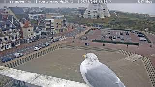 Live Noordwijk aan Zee Boulevard en Beach Camera [upl. by Bradski950]