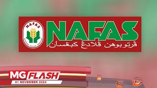 Perlembagaan Nafas Digantung MGFlash [upl. by Nnaoj]