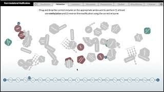 Methyl hoá protein histon sau dịch mã [upl. by Aninep37]