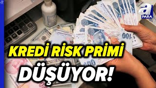 Kredi Risk Primi Düşüyor Türkiyenin 5 Yıllık CDSi 291 Baz Puana Geriledi  A Para [upl. by Sorkin]