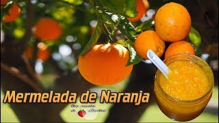 Mermelada de Naranja Natural  Confitura de Naranja Casera [upl. by Phillie]