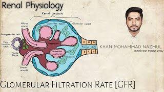 Glomerular Filtration Rate GFR  renal physiology  বাংলা [upl. by Hilde637]