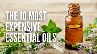 Top 10 Most Expensive Essential Oils in the World [upl. by Janifer715]