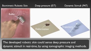 Science Robotics A biomimetic robotic skin using hydrogelelastomer hybrids and tomography imaging [upl. by Anatolio]