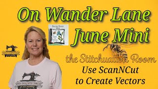 Lets Snapplique the June Mini Quilt from On Wander Lane The Stitchuation Room [upl. by Anaitat]