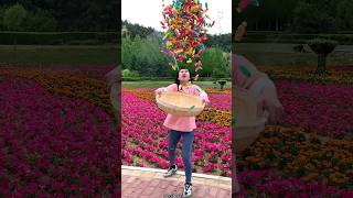 Lots of Sweet Candy 🍬🍬 Amazing Delicious Fruit Candy shorts satisfying youtubeshorts [upl. by Shue]