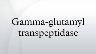 Gammaglutamyl transpeptidase [upl. by Aitetel493]