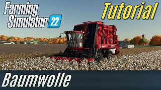 LS22 Tutorial Baumwolle anbauen Einsteiger [upl. by Lurleen198]