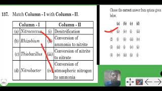 match column 1 with 2 denitrifying bacteria is thiobacillus [upl. by Aruabea]