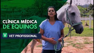 Clínica Médica de Equinos l VET Profissional [upl. by Barb606]