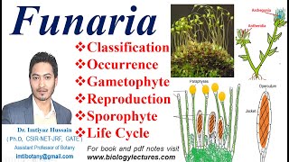 Funaria Life Cycle Gametophyte Sexual reproduction Fertilization funaria bryophytes bscbotany [upl. by Lucic867]