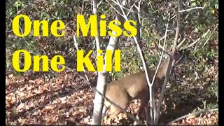 Virginia Saddle Hunting Miss One Kill One [upl. by Kopp]