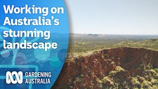 The stunning experience of a ranger on the Larapinta Trail  My Garden Path  Gardening Australia [upl. by Neik]