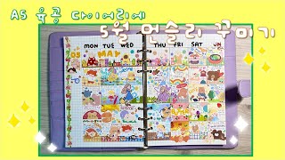 5월 먼슬리 다이어리 꾸미기  A5 육공 다이어리에 와글와글하게 다꾸하기  Monthly Diary [upl. by Roley]