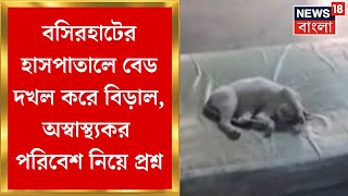 Basirhat News  বসিরহাটের হাসপাতালে বেড দখল করে বিড়াল অস্বাস্থ্যকর পরিবেশ নিয়ে প্রশ্ন [upl. by Adiehsar894]