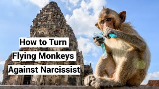 Smear Campaign Turn Narcissists Flying Monkeys Against HimHer [upl. by Candy]