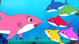 Five Little Sharks  Baby Shark  FunForKidsTV  Nursery Rhymes amp Baby Songs [upl. by Ynafit287]