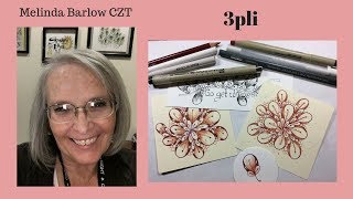 Tangle Art Lesson 3pli Tangle Pattern 298 [upl. by Eniruam]