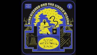 King Gizzard amp The Lizard Wizard  Flying Microtonal Banana [upl. by Annaeg]