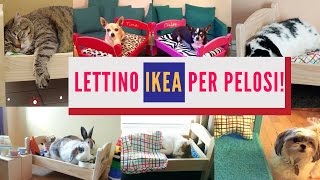 Lettino IKEA per il cane Una cuccia originale economica e semplice da montare [upl. by Arised]