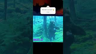 Koba Saves Caesar From a Bear 🐻 dawnoftheplanetoftheapes movieclips youtube [upl. by Yarled]