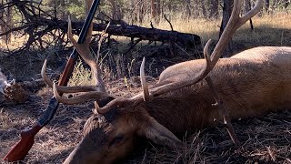 Elk hunt with the old Iron Sights 45 Long Colt [upl. by Lamiv]