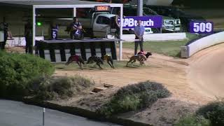 Northam10102024Race9 [upl. by Eadwina]