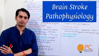 Brain Stroke Pathophysiology [upl. by Airam]