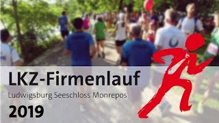 LKZFirmenlauf 2019  Ludwigsburger Kreiszeitung [upl. by Callahan885]