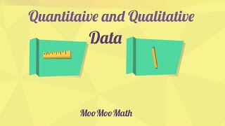 Qualitative and Quantitative Data [upl. by Hogarth364]