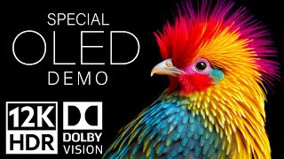 12K HDR Video ULTRA HD 120fps Dolby Vision  Special Oled Demo [upl. by Blood900]