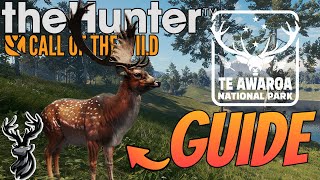 Where to find Pheasants on Hirschfelden 2023 Hotspot Map Included  theHunter Call of the Wild [upl. by Jennilee]