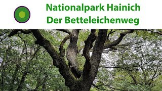 Nationalpark Hainich Der Betteleichenweg [upl. by Berstine]