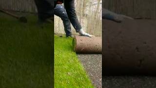 Handwerker schaffen alles  Rollrasen fix und fertig  youtubeshorts shortvideo shorts garten [upl. by Nahsor]