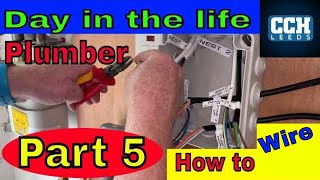 Plumber  Wiring S Plan  Viessmann Part 5 [upl. by Erual]