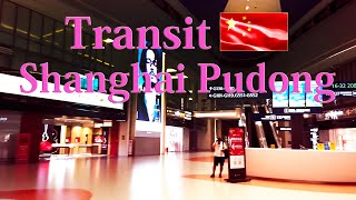 【Airport Tour】2024 How to Transit at Shanghai Pudong Airport Terminal 1 [upl. by Adnalu]